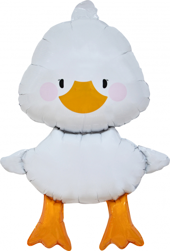 product-photo