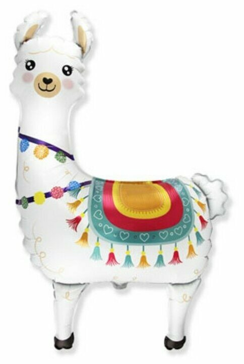 product-photo